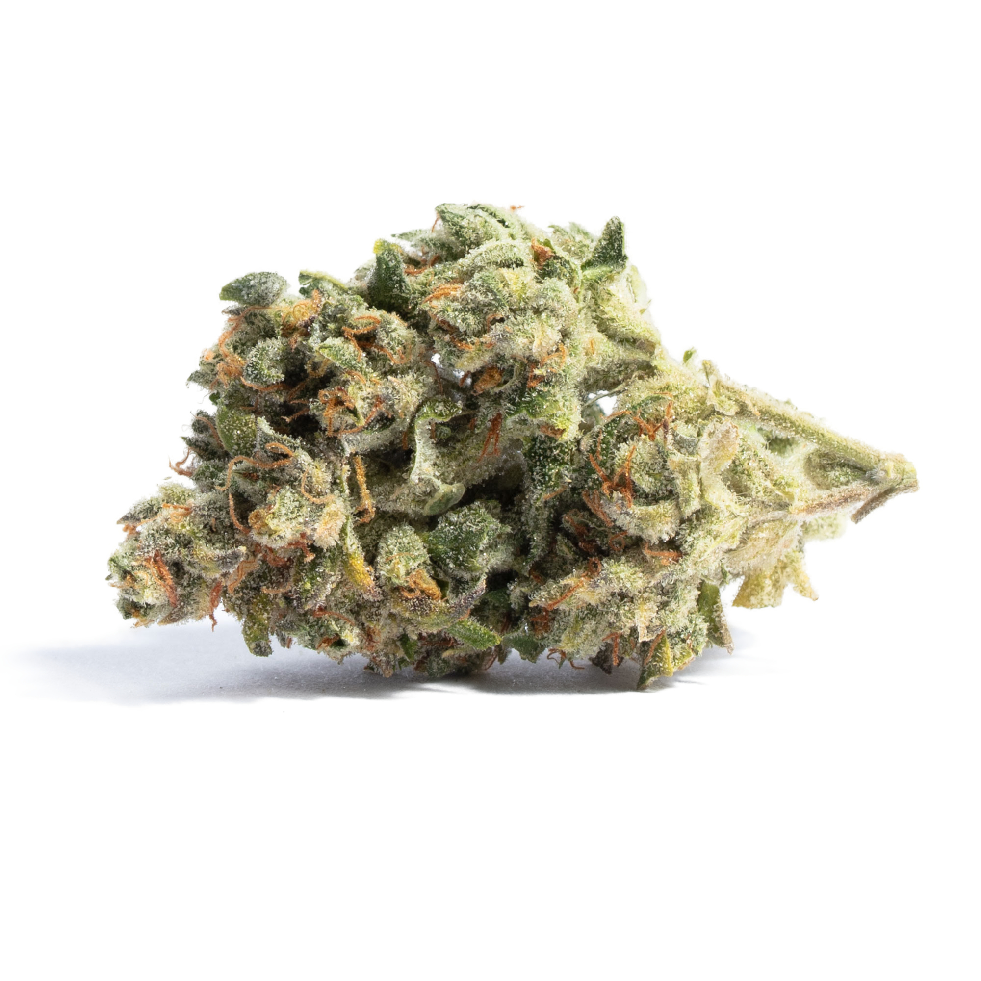 Acapulco Gold | Rare Sativa Marijuana Strain