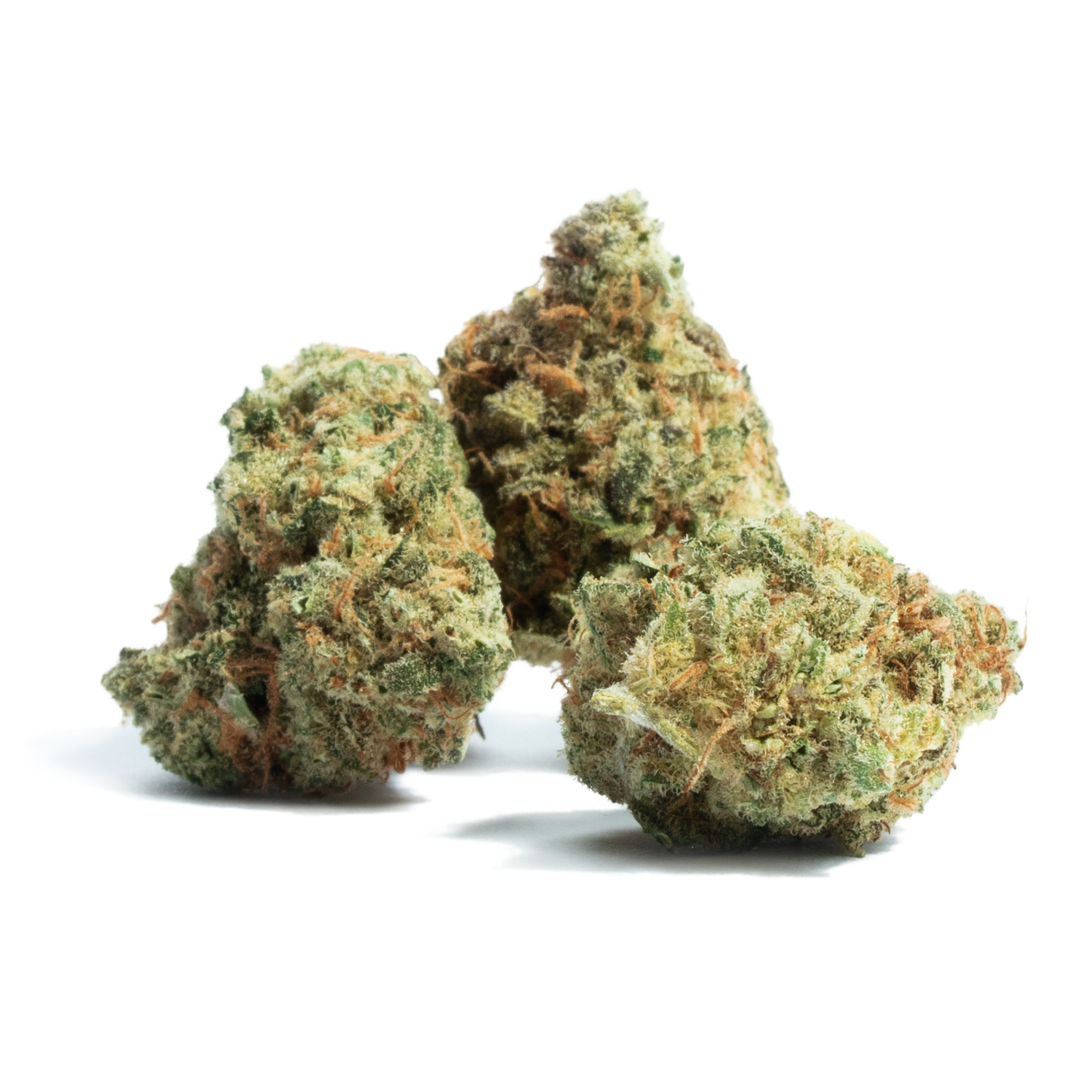 Amnesia Haze | Sativa Strain