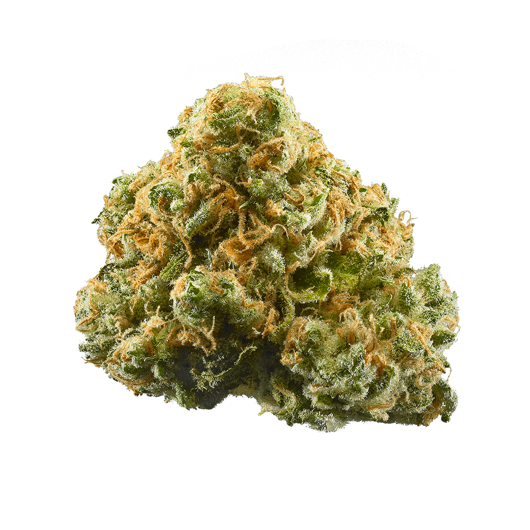 Black Ice Strain