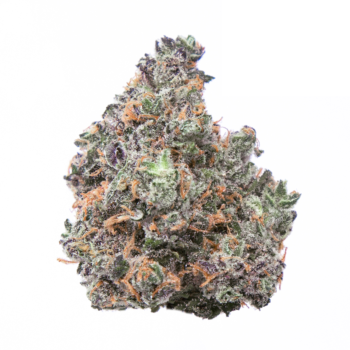 Candyland Strain | Aka Kandyland