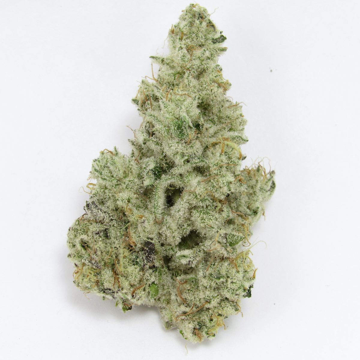 Cap Junky Strain | Aka Miracle Mints