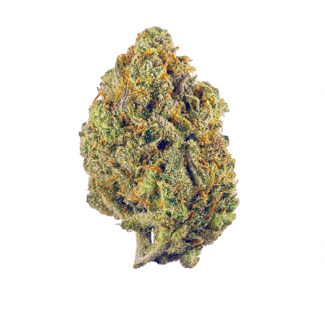 Casey Jones Strain | Aka Casey Weed Strain