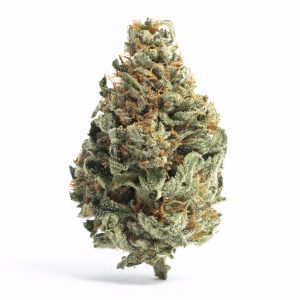 Chocolope Strain | Aka D-Line Weed Strain