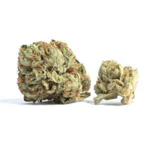 Euphoria Strain | Aka Euforia | Marijuana Weed Strain
