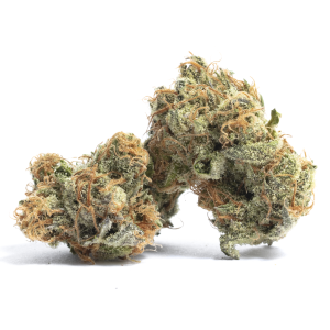 French Cookies | Rare Sativa Marijuana Strain