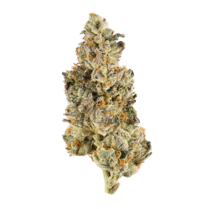 Frostbite Strain | Marijuana Weed Strain