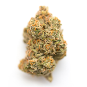 Grape Gasoline