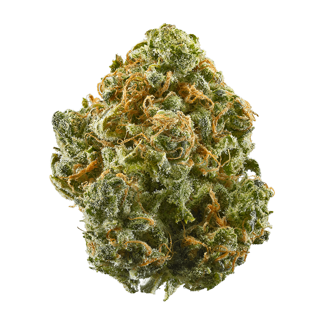 Guava Strain | Guava Weed Strain | Sativa-leaning Hybrid