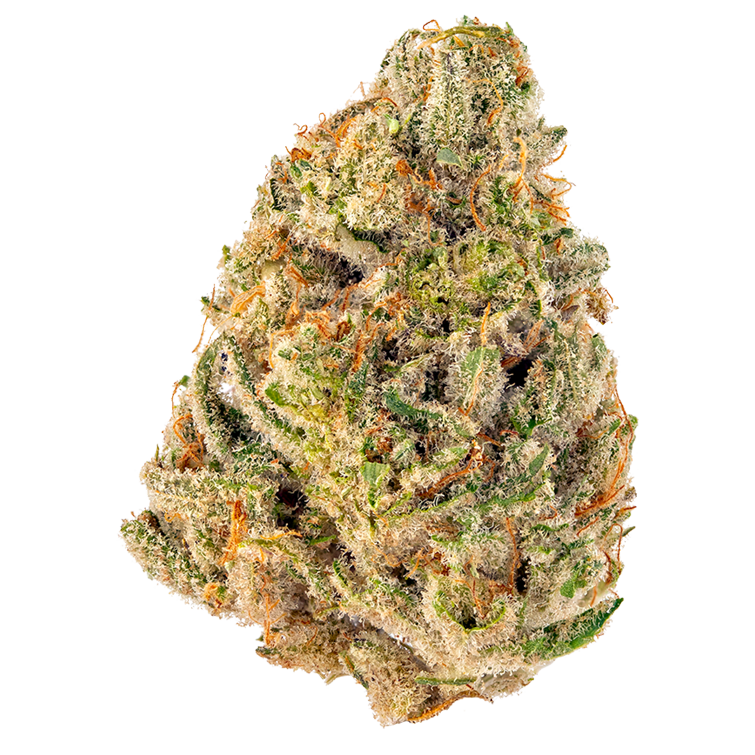 Hippie Crasher Strain