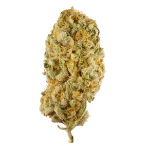 Jack Herer Strain | Aka JH, The Jack, Premium Jack