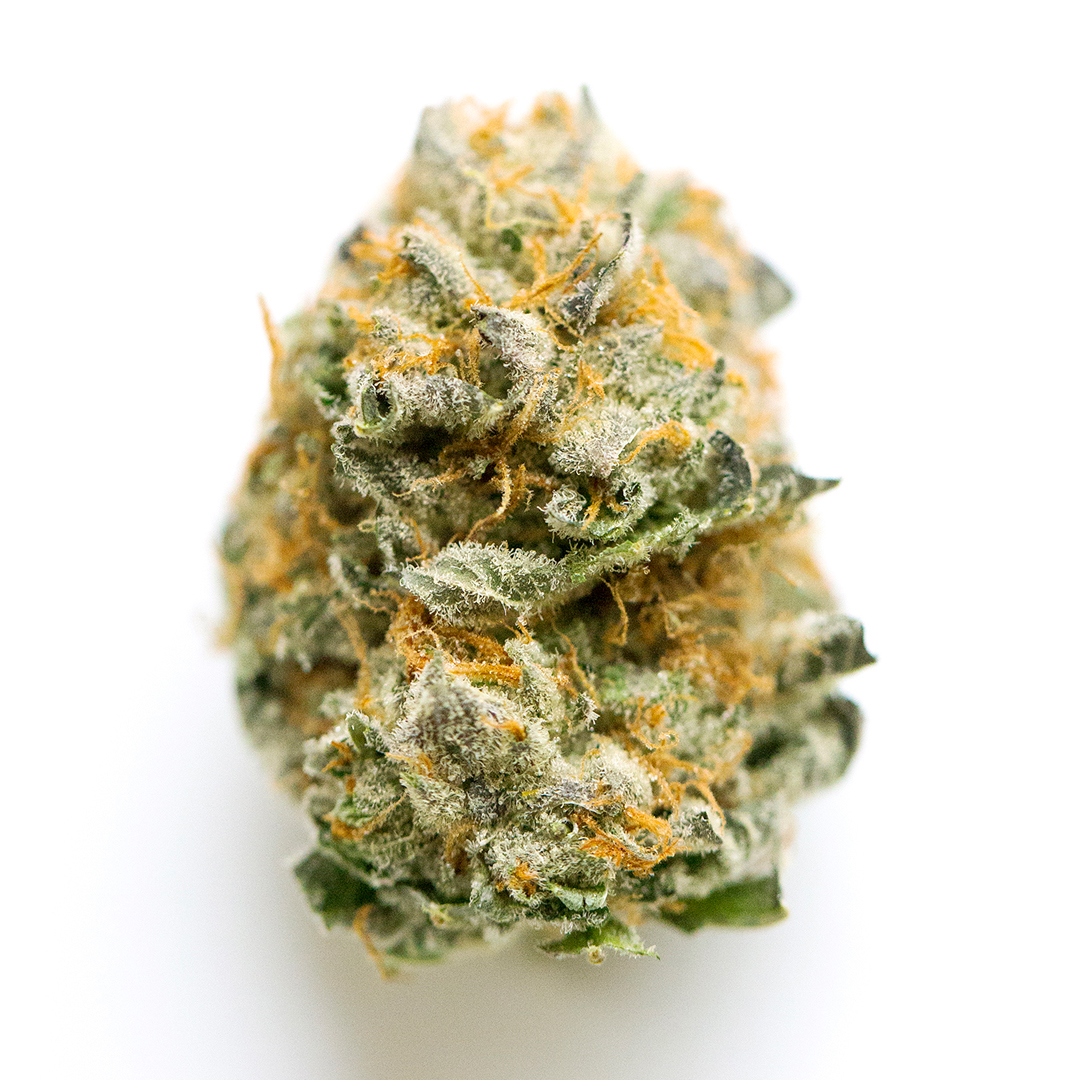 Jet Fuel Gelato Strain| Aka Jetlato
