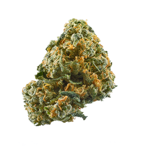 King's Kush