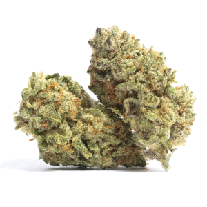 Lemon G Strain | Lemon G Weed Strain
