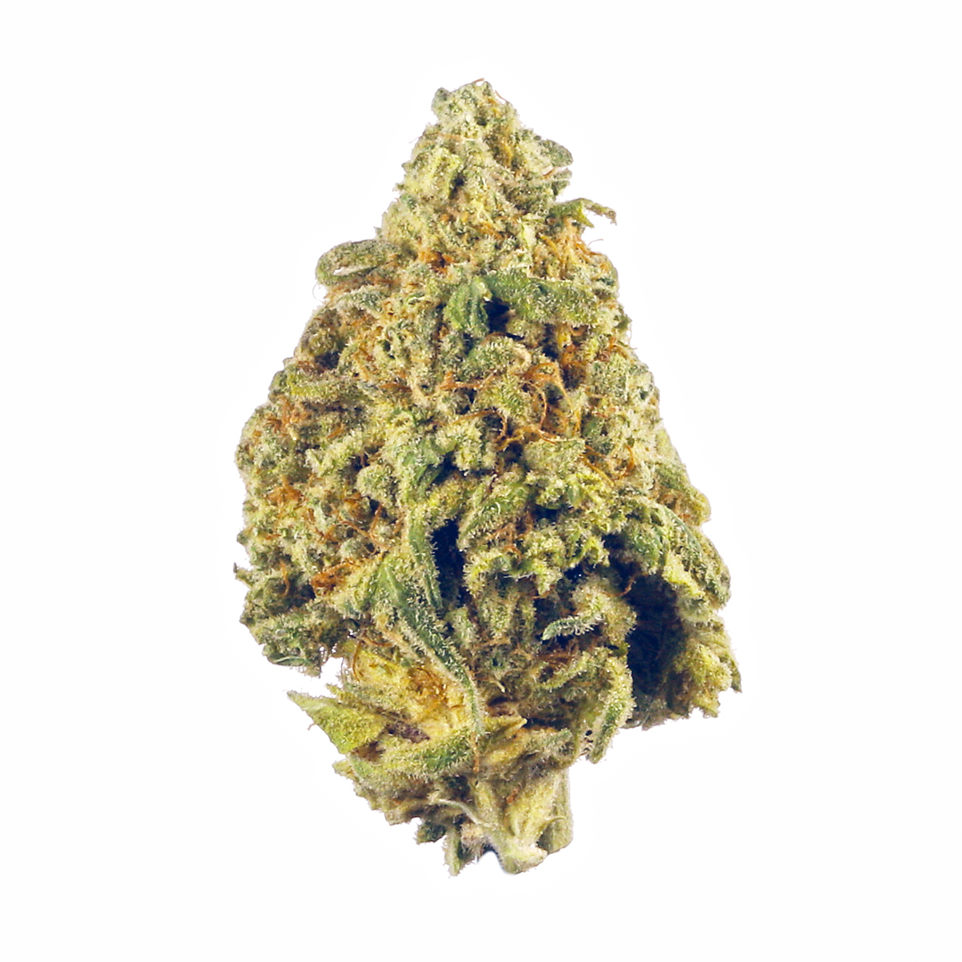Memory Loss Strain | Sativa-Hybrid Weed Strain