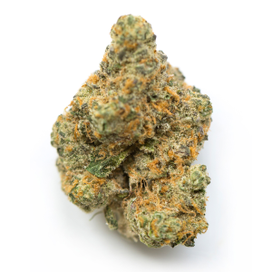 Moby Dick Strain | Moby Dick Weed Strain