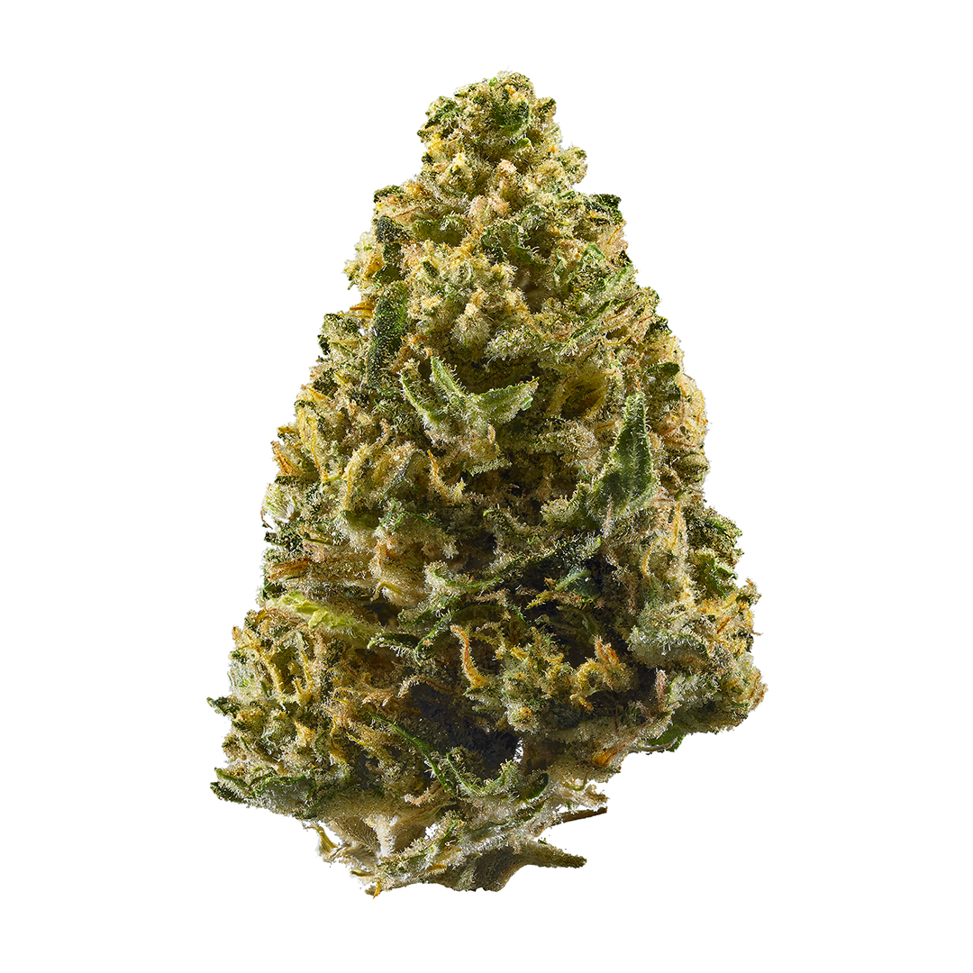 Northern Lights Strain | Aka "NL," | Marijuana Strain