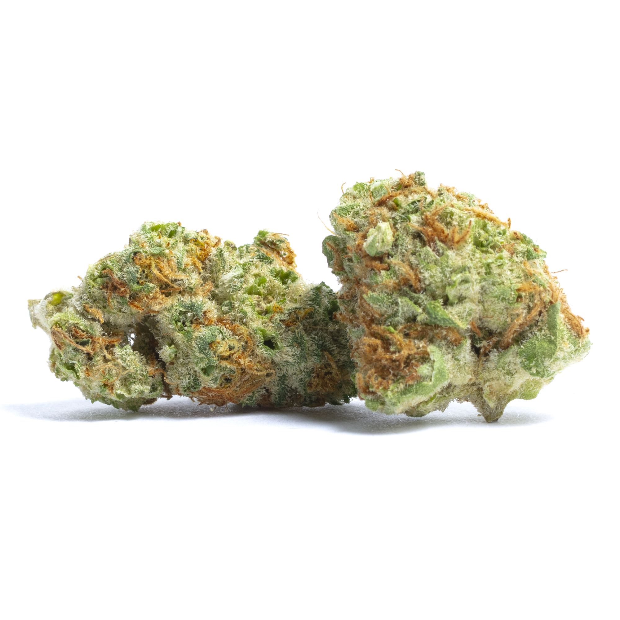 Papaya Strain
