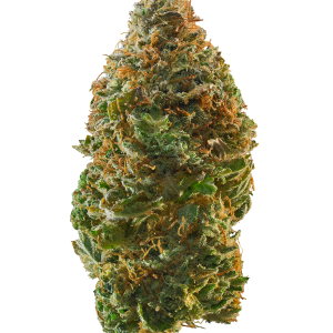 Pina Colada Strain