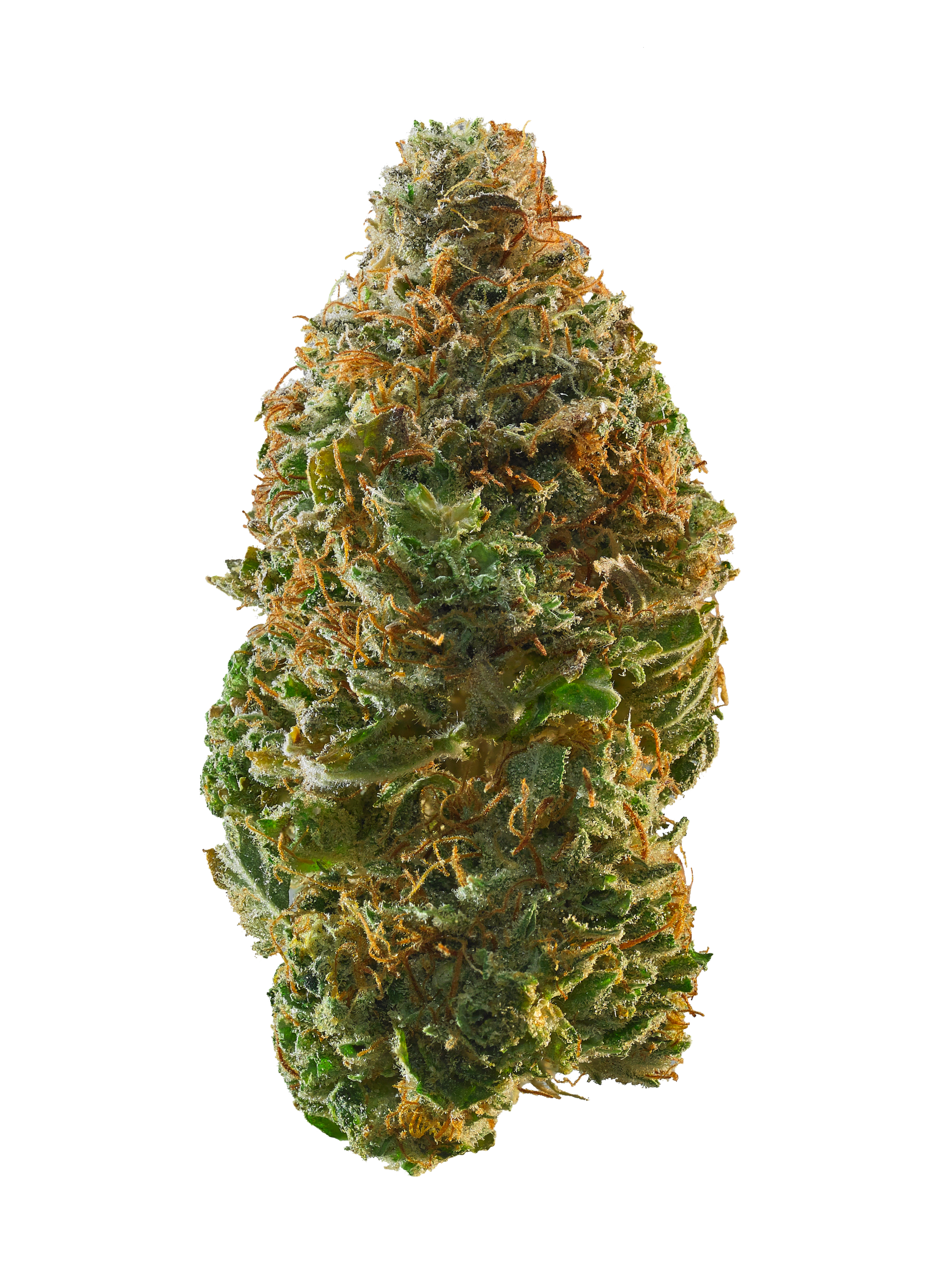 Pina Colada Strain