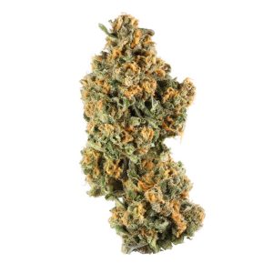 Pink Champagne Strain