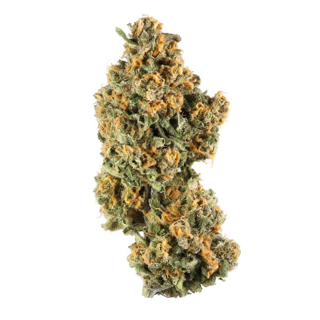 Pink Champagne Strain