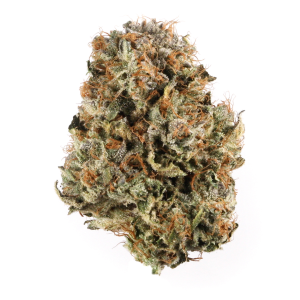 Pink Panties Strain