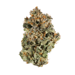 Platinum Kush Strain