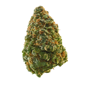 Power Plant Strain | Pure Power Plant Strain