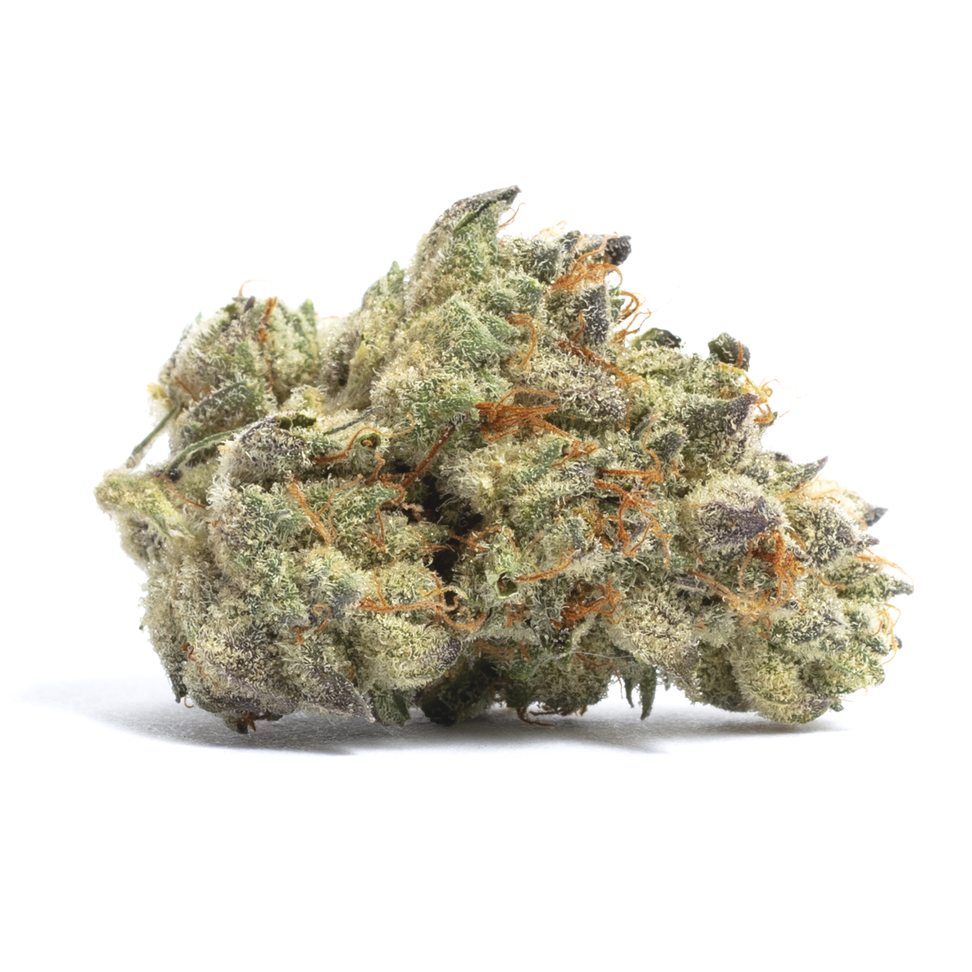 Purple Haze Strain | Sativa Marijuana Strain