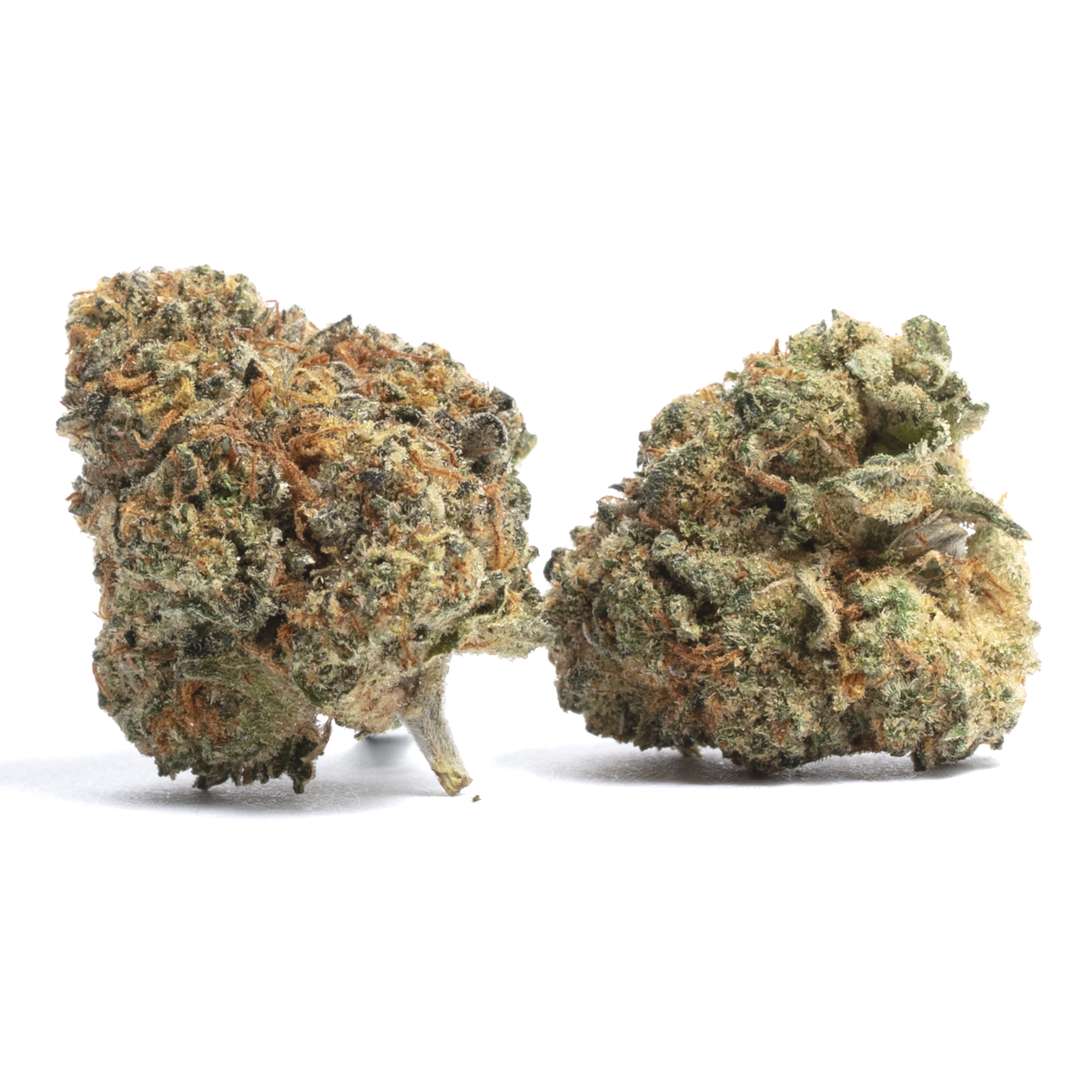 Purple Panty Dropper Strain