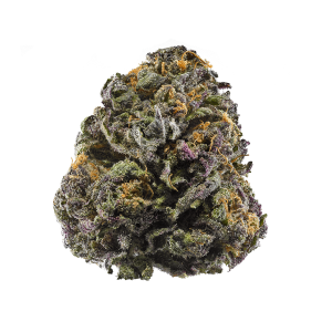 Purple Thai Strain | Oregon Purple Thai, OPT Weed Strain