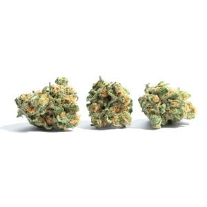 Sour Joker Strain | Aka "Joker" Weed Strain