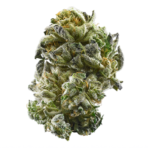 Strawberry Cheesecake Strain