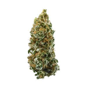 Strawberry Haze Strain | Aka Arjan's Strawberry Haze