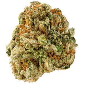 Strawberry Lemonade Strain | Aka Mike's Strawberry Lemonade