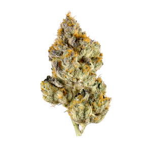 Sunset OG Strain