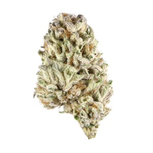 Super Jack Strain