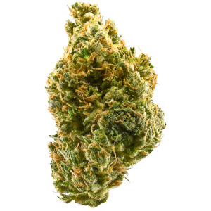 Tangie Strain | Tangie Weed Strain
